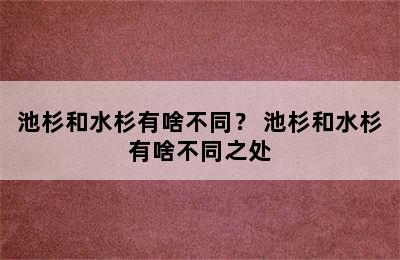 池杉和水杉有啥不同？ 池杉和水杉有啥不同之处